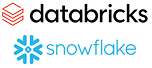 Databricks / Snowflake logo